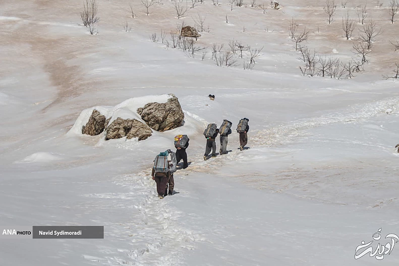 (تصاویر) کولبران کردستان